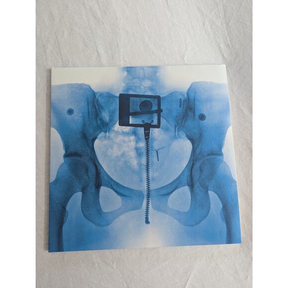 Lorde Signed Vinyl Virgin LP Autographed X-Ray Picture Disc - Picture 15 of 16